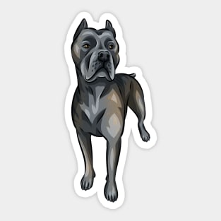 Cane Corso Dog | Blue Brindle Sticker